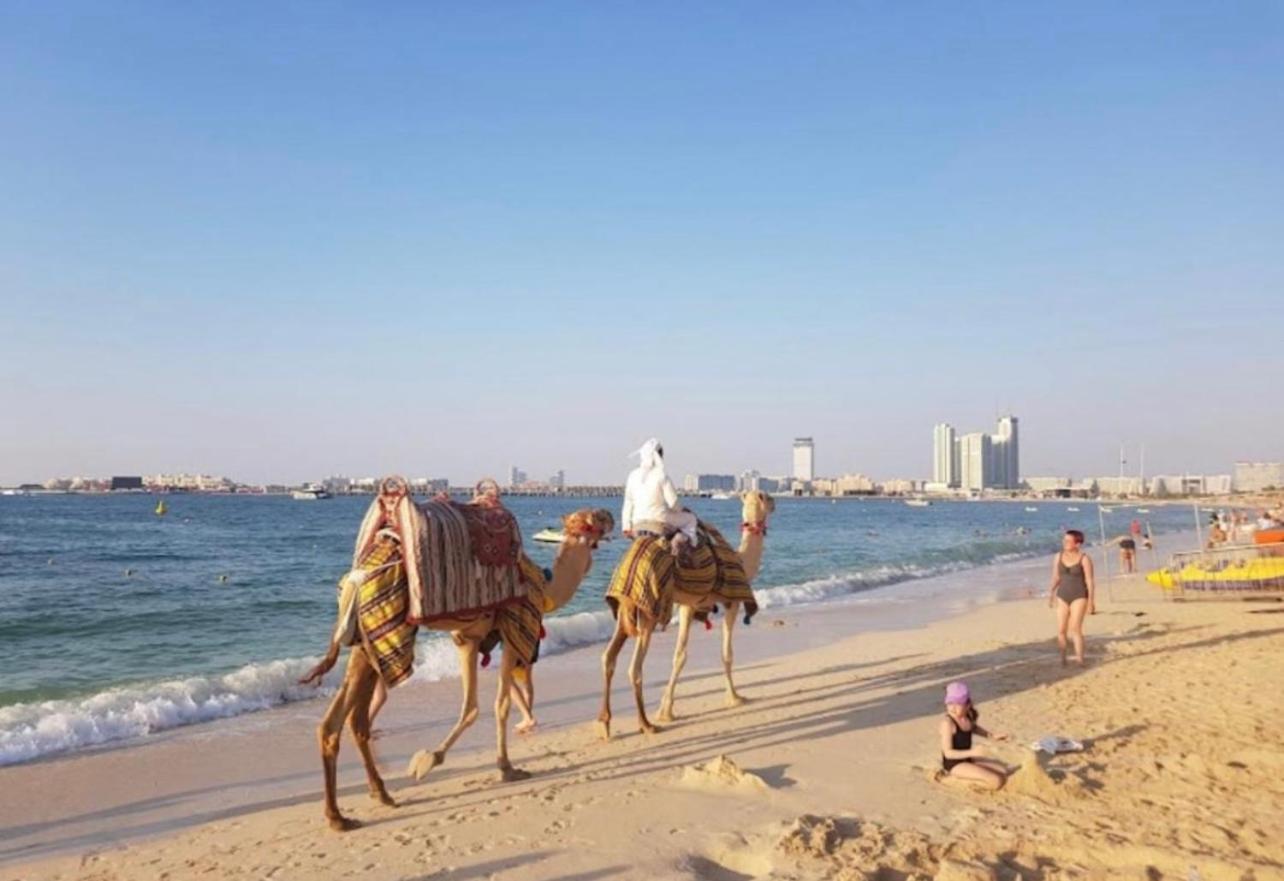 Seaview Beach Hostel Jbr - Walk To Beach - Gym - Pool - Metro Station Дубай Экстерьер фото